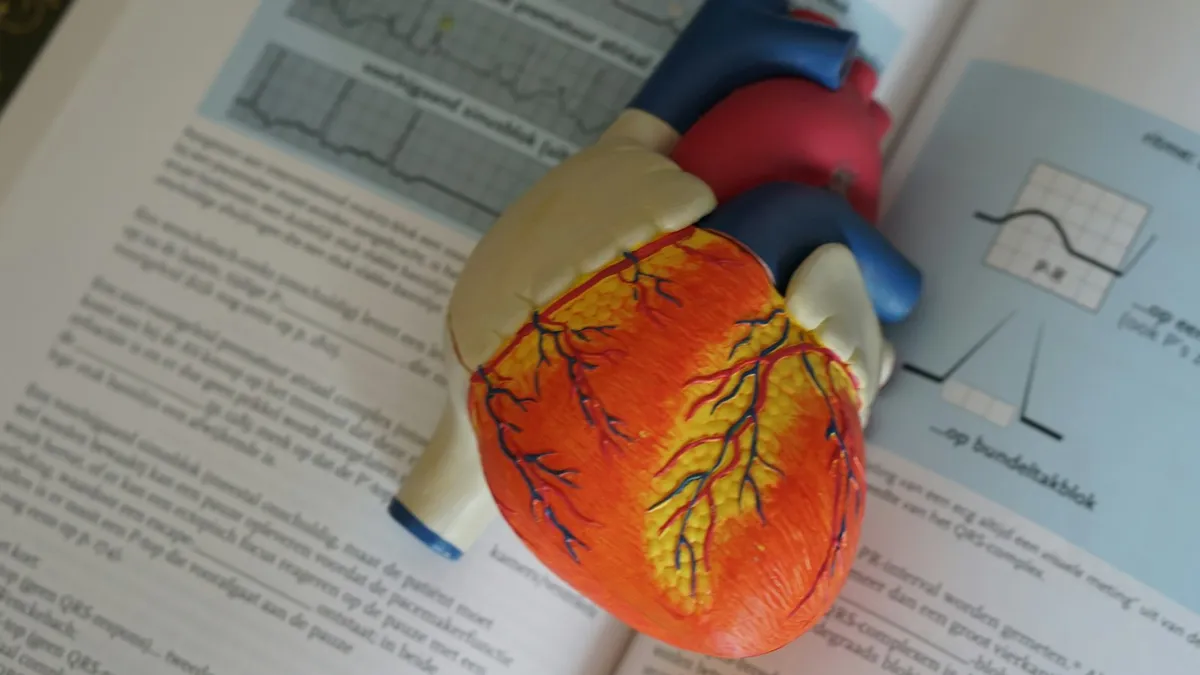 Patiënt in gesprek met een cardioloog die hartonderzoeken op een scherm toont