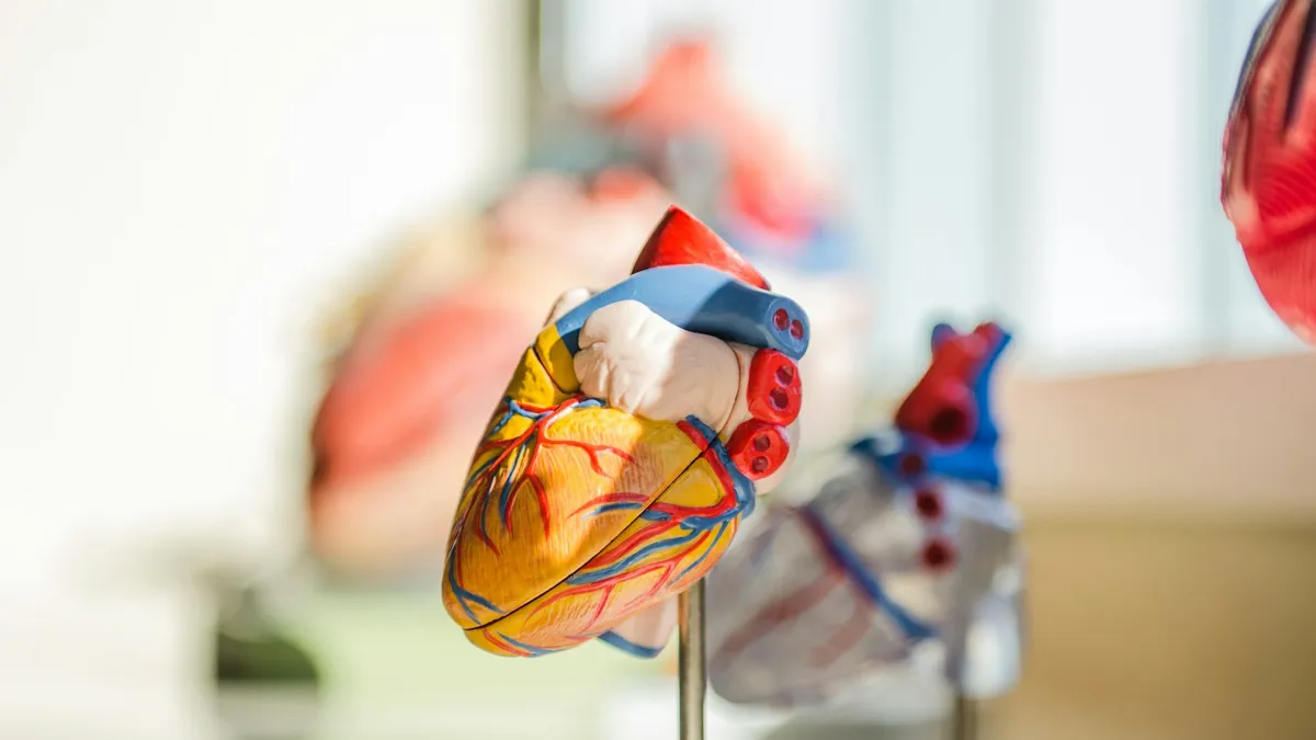 Cardioloog bekijkt een hartonderzoek samen met een patiënt in de spreekkamer